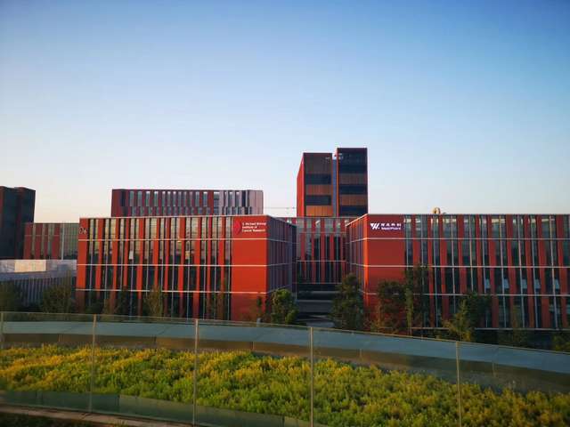 嘉定区压力分布测量系统厂家